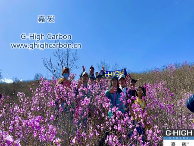 山野映山紅遍，嘉碳不負春光