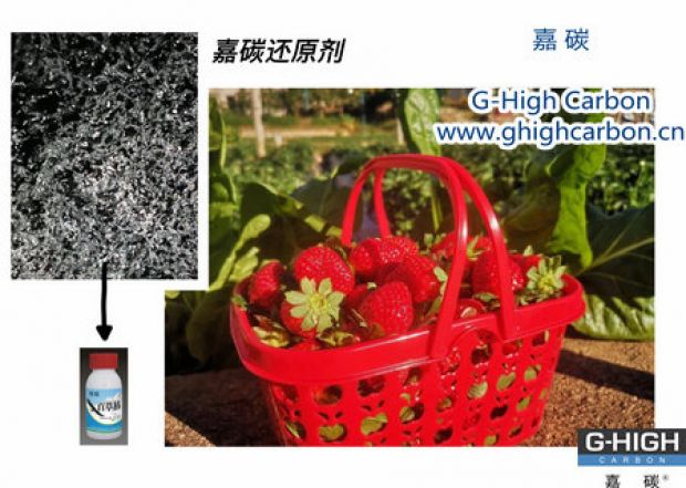 嘉碳還原劑守護(hù)“莓”好，甜蜜上線