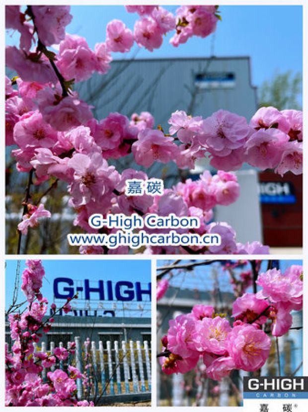 環(huán)保嘉碳，春花爛漫
